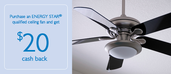 Ceiling Fan